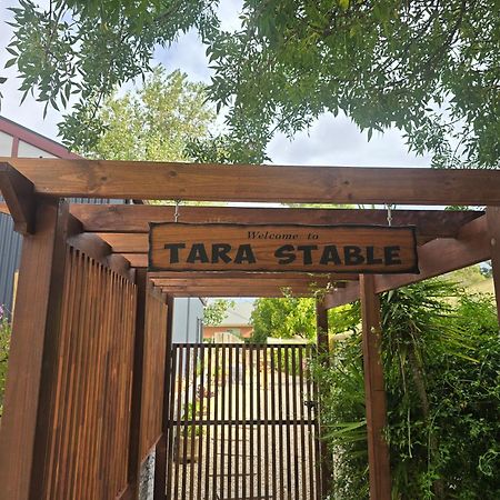 Tara Stables Villa Littlehampton Buitenkant foto